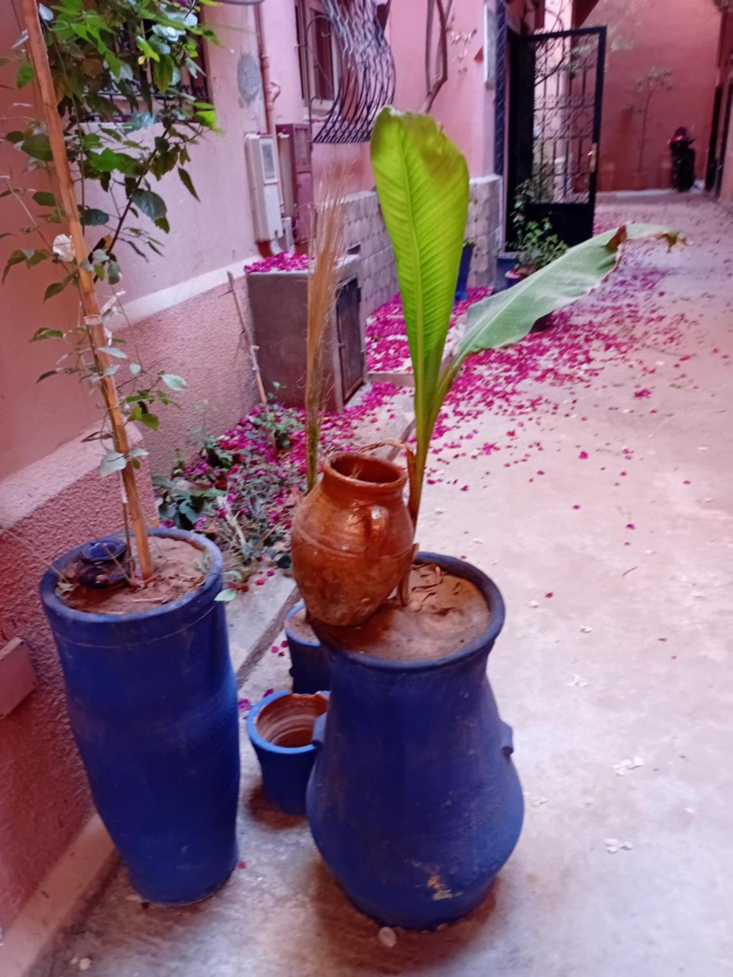 Riad Le Shams Marakeş Dış mekan fotoğraf